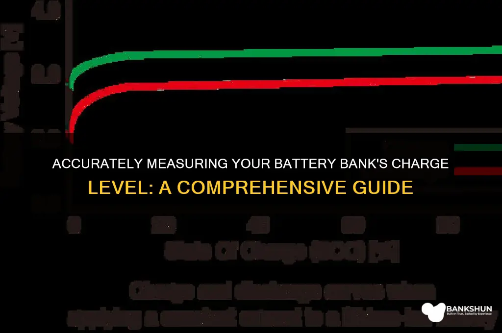 how to measure battery bank charge level