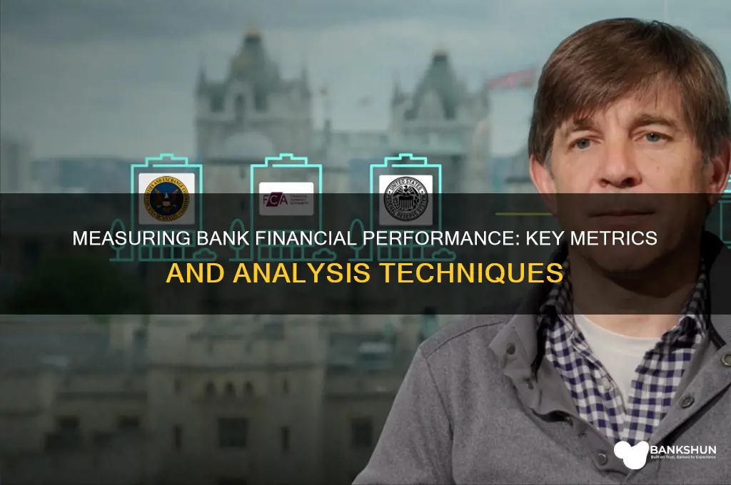 how to measure financial performance of banks