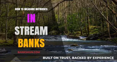 Measuring Nutrients in Stream Banks: Techniques and Tools for Accurate Assessment