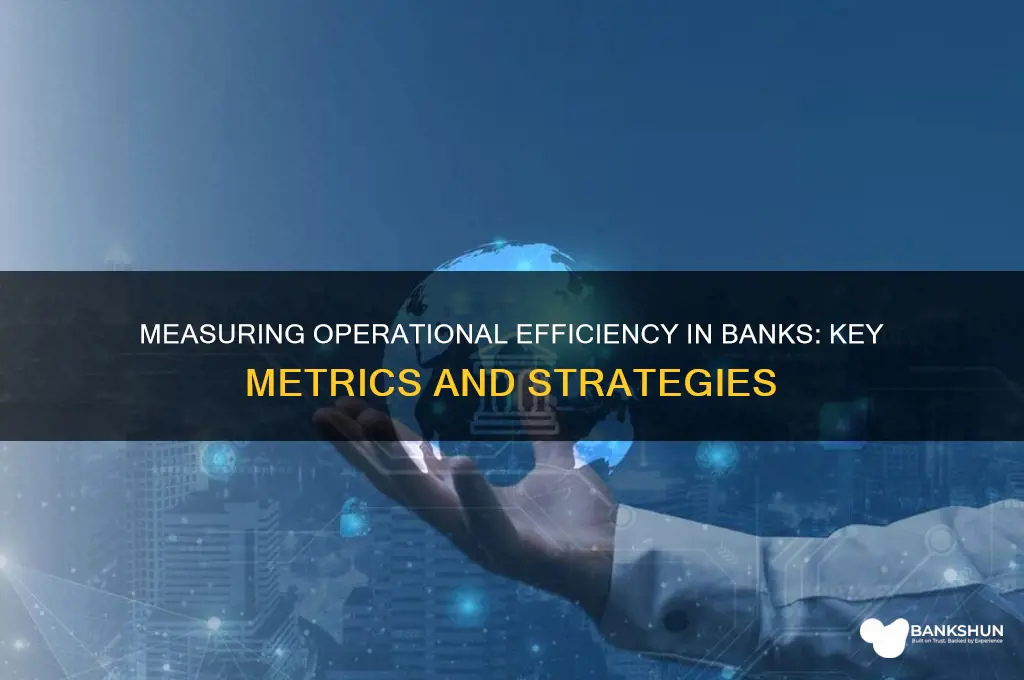 how to measure operational efficiency in banks