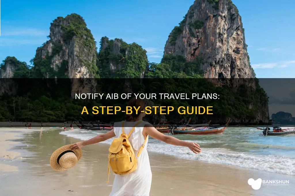 how to notify bank of travel aib