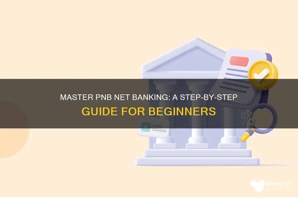 how to on net banking in pnb