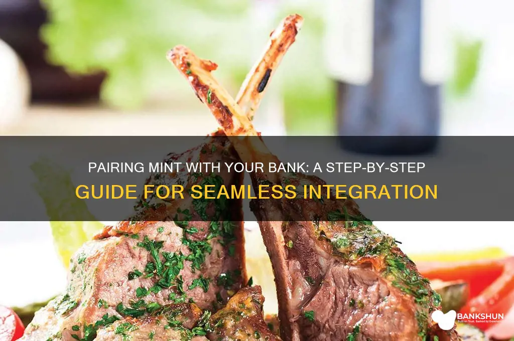 how to pair mint with a bank