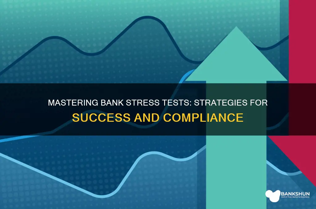 how to pass a bank stress test