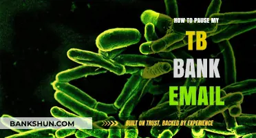 Step-by-Step Guide: Pausing Your TB Bank Email Account Easily
