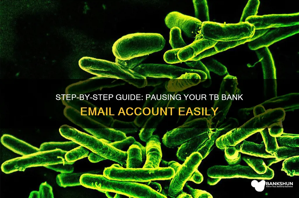 how to pause my tb bank email