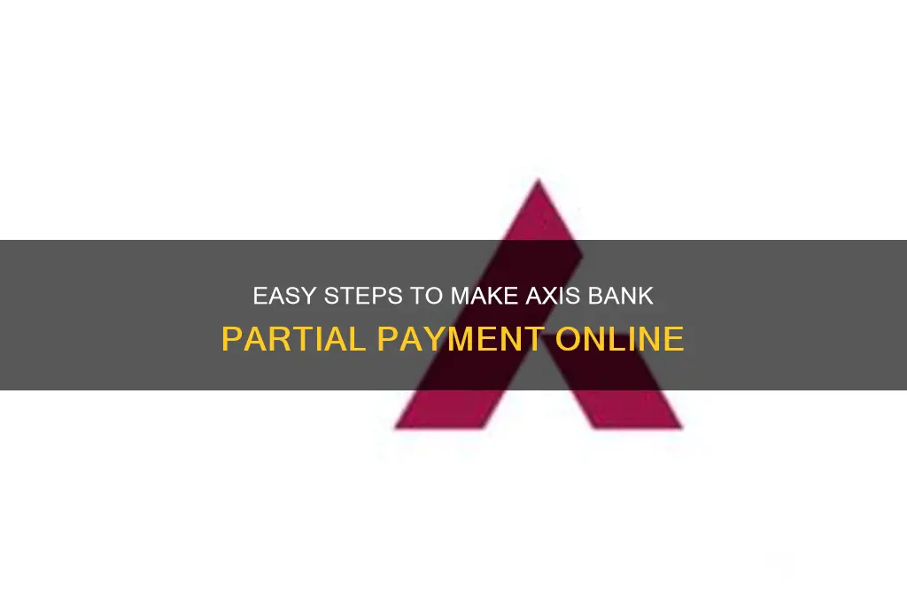 how to pay axis bank partial payment
