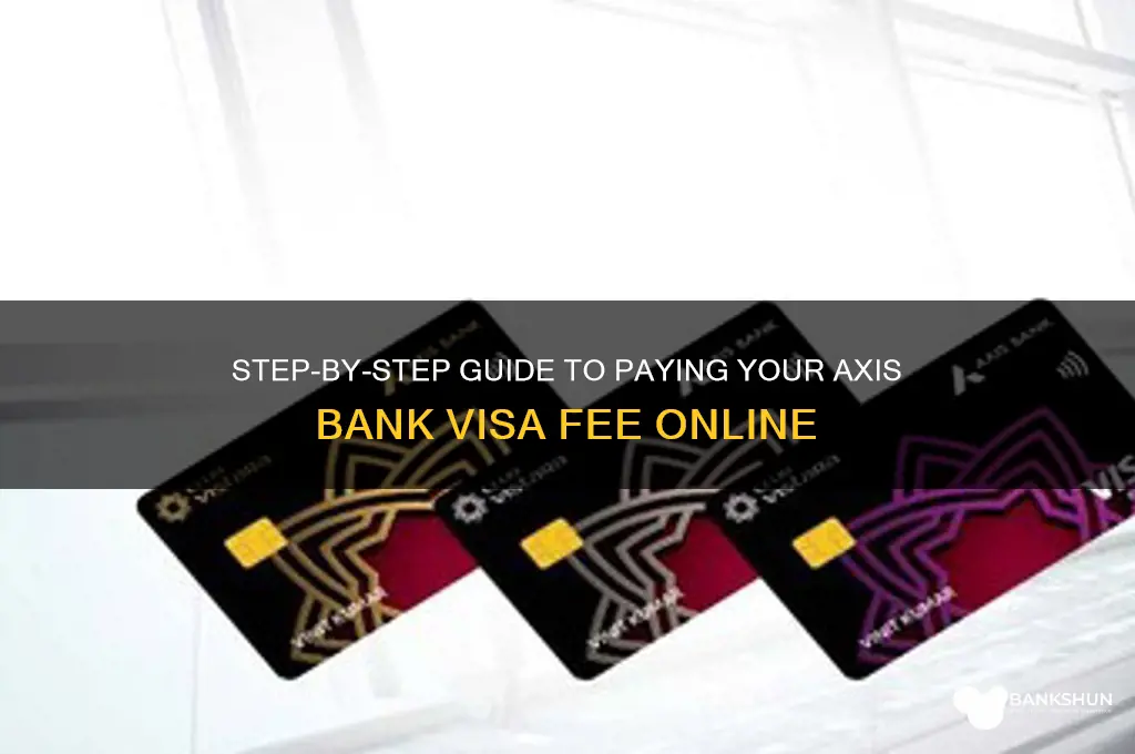 how to pay axis bank visa fee
