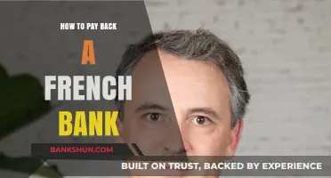 Repaying French Bank Loans: A Comprehensive Guide to Settle Your Debt