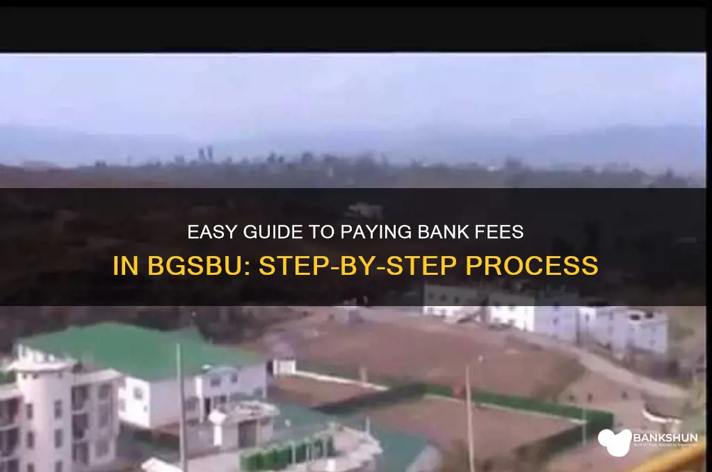 how to pay bank fee in bgsbu