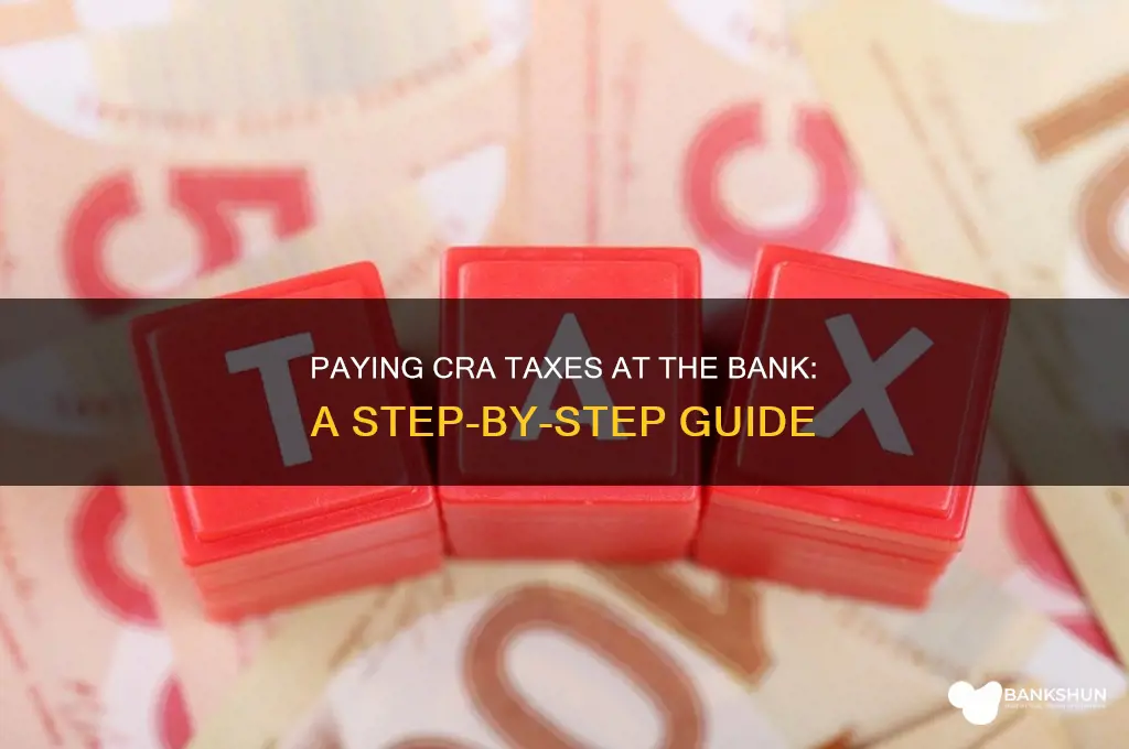 how to pay cra taxes at bank