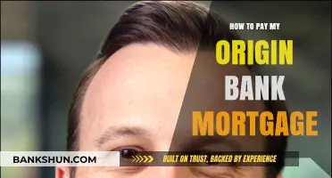 Easy Steps to Pay Your Origin Bank Mortgage Online