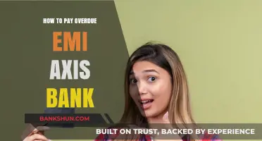 How to Settle Overdue EMI Payments with Axis Bank