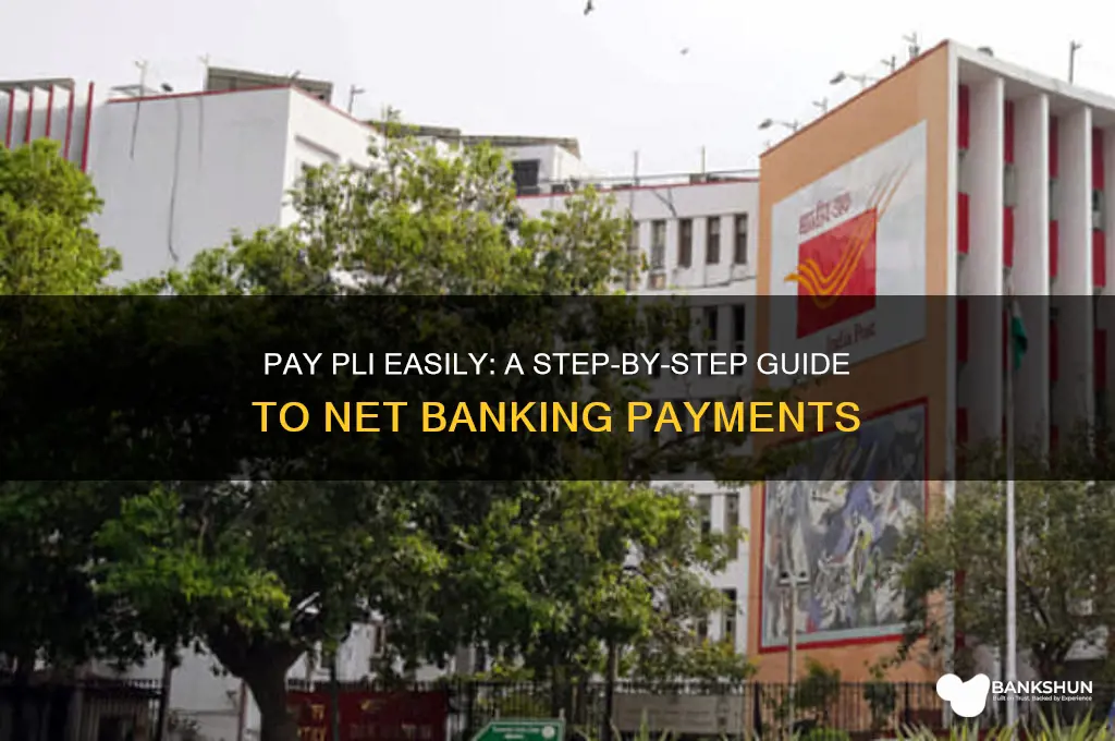 how to pay pli through net banking
