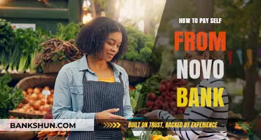 Paying Yourself from Novo Bank: A Step-by-Step Guide for Business Owners