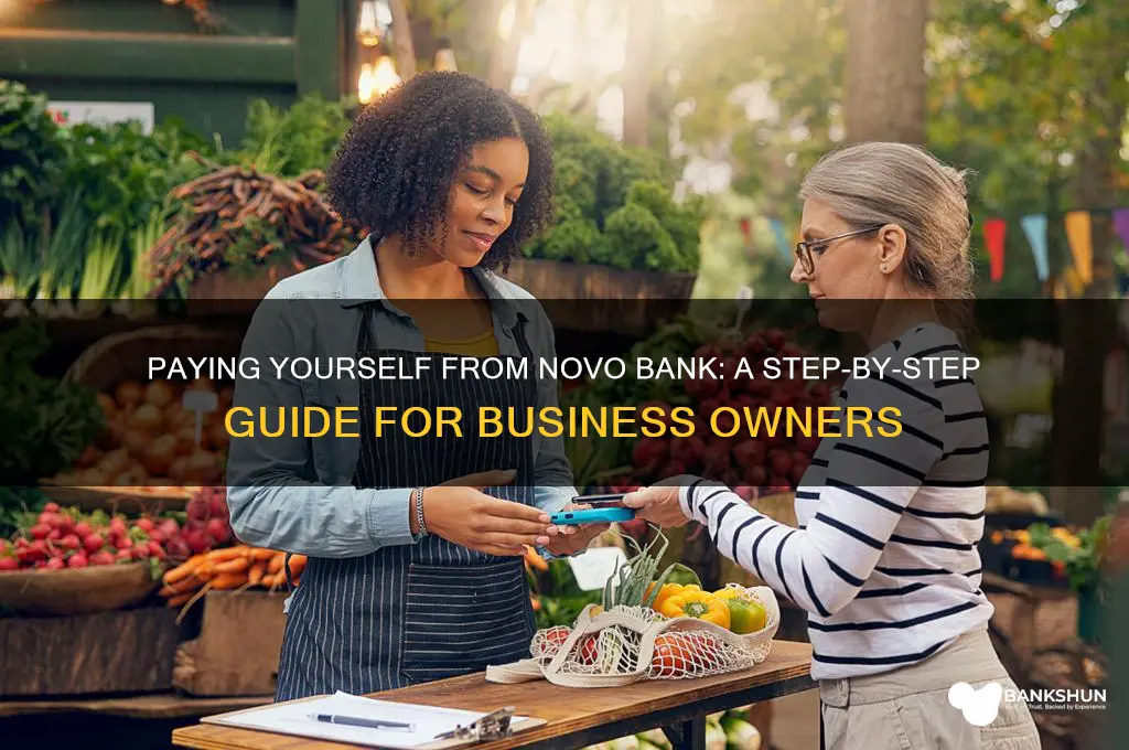 how to pay self from novo bank