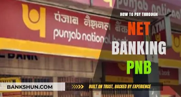 PNB Net Banking Payment Guide: Easy Steps to Pay Online