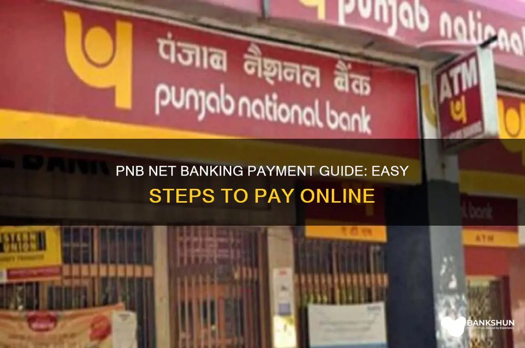 how to pay through net banking pnb