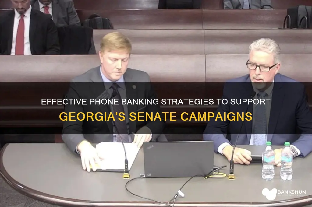 how to phone bank for georgia senate