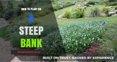 Planting on Steep Banks: Tips for Erosion Control and Landscaping
