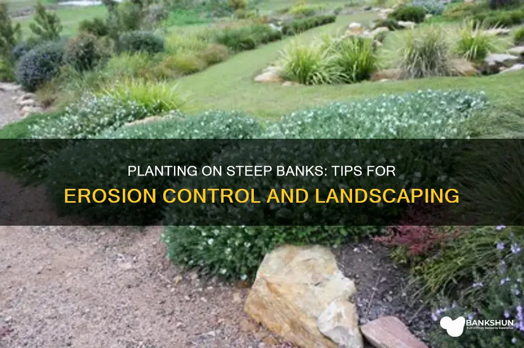 how to plant on a steep bank