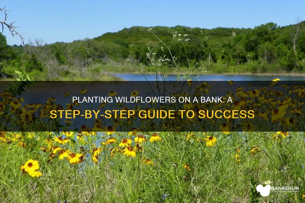 how to plant wildflowers on a bank