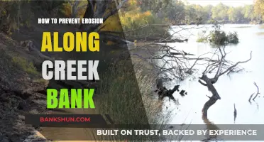 Effective Strategies to Prevent Erosion Along Creek Banks
