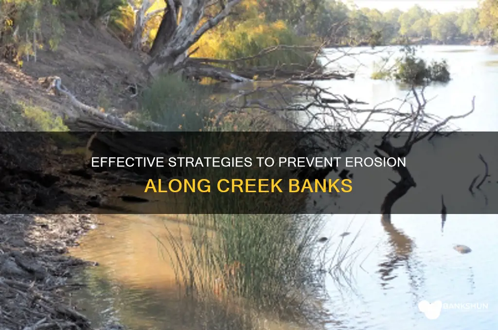 how to prevent erosion along creek bank
