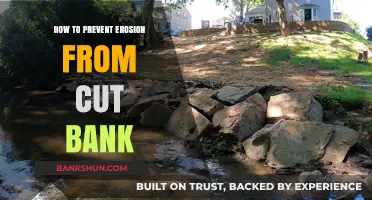 Effective Strategies to Prevent Erosion on Cut Banks