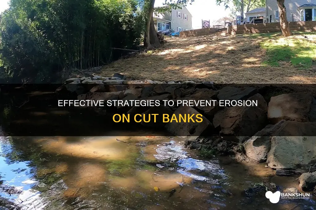how to prevent erosion from cut bank