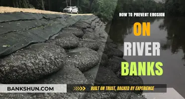 Effective Strategies to Prevent Erosion on River Banks