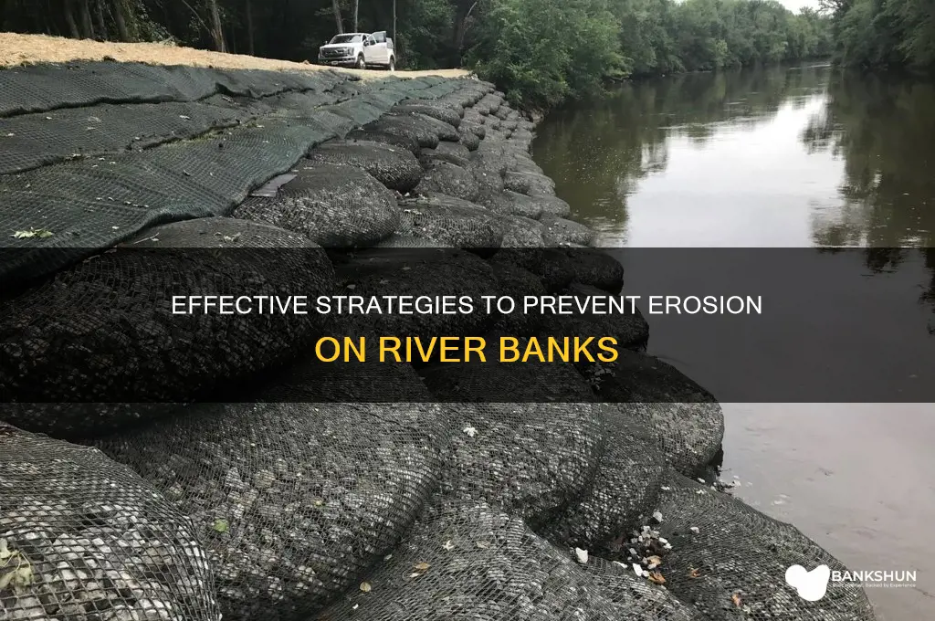 how to prevent erosion on river banks