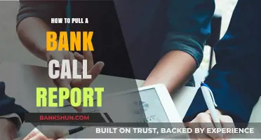 Mastering Bank Call Reports: A Step-by-Step Guide to Accessing Financial Data
