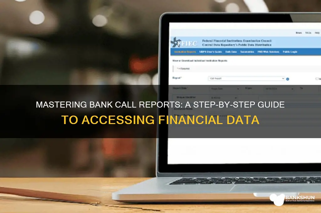 how to pull a bank call report