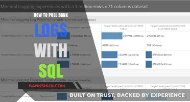Master SQL Queries to Extract and Analyze Bank Transaction Logs