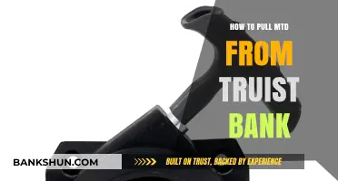 How to Easily Pull MTD Data from Truist Bank