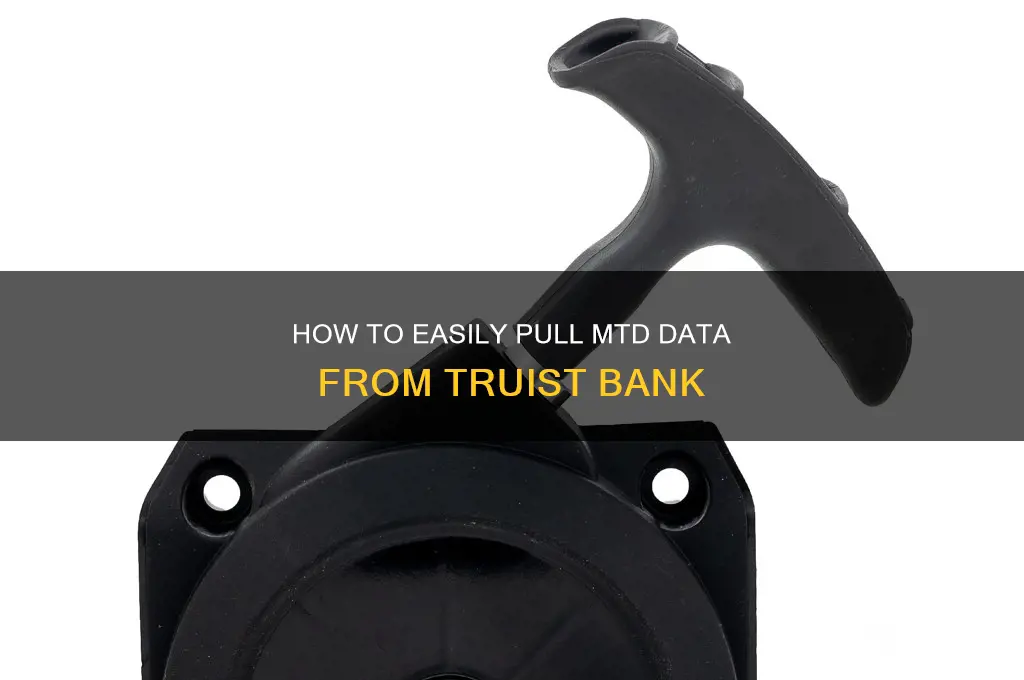 how to pull mtd from truist bank