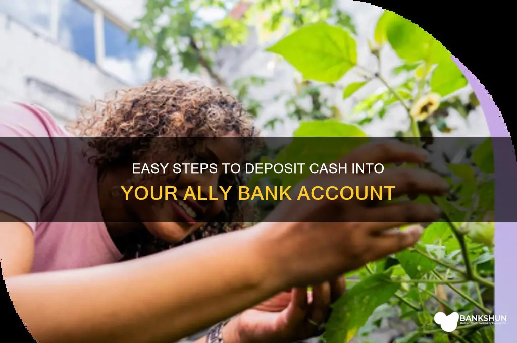 how to put cash in ally bank