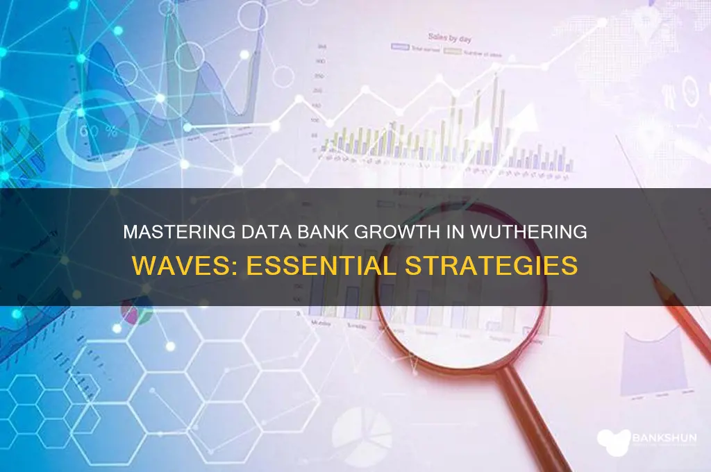 how to raise data bank wuthering waves