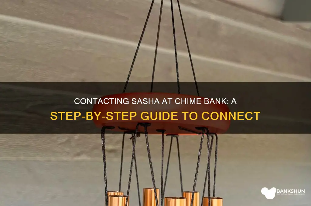 how to reach sasha at chime bank