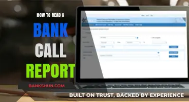 Mastering Bank Call Reports: A Step-by-Step Guide to Understanding Financial Data