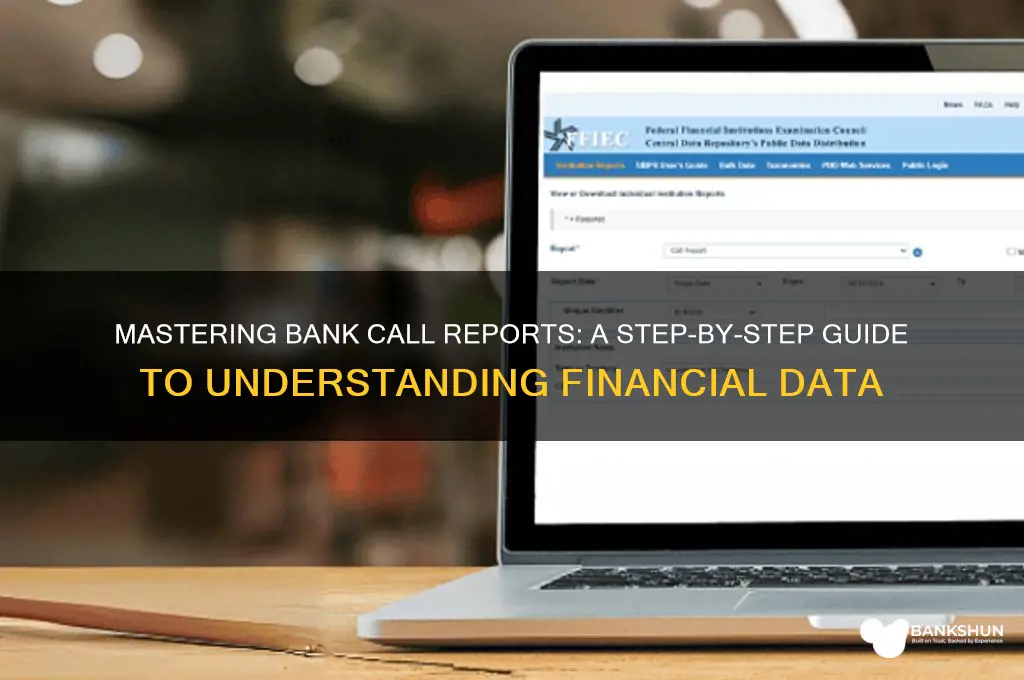 how to read a bank call report