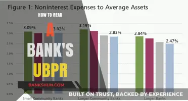 Mastering Bank Analysis: A Step-by-Step Guide to Reading UBPRs
