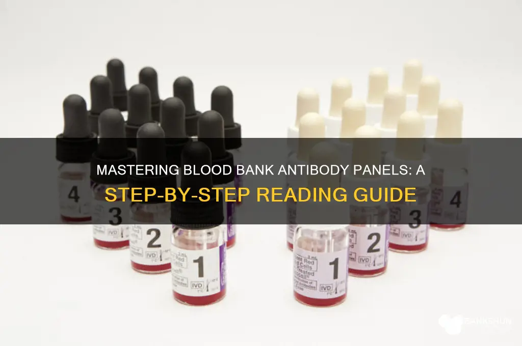 how to read blood bank antibody panels