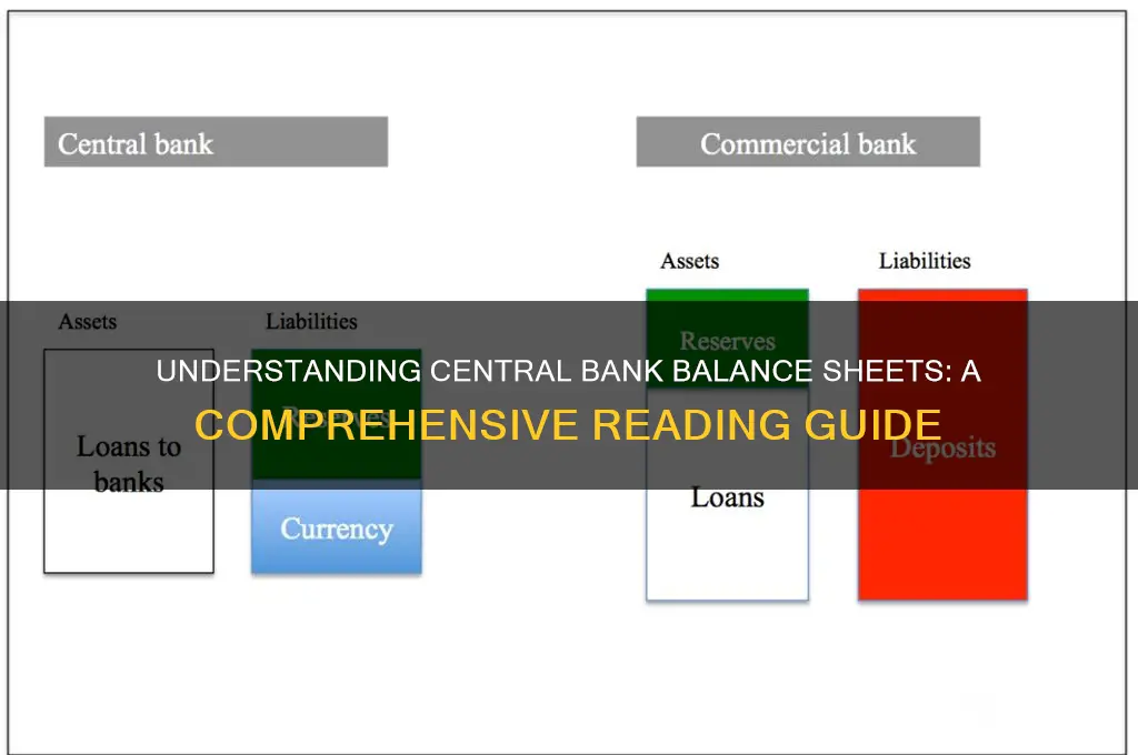 how to read central bank balance sheet