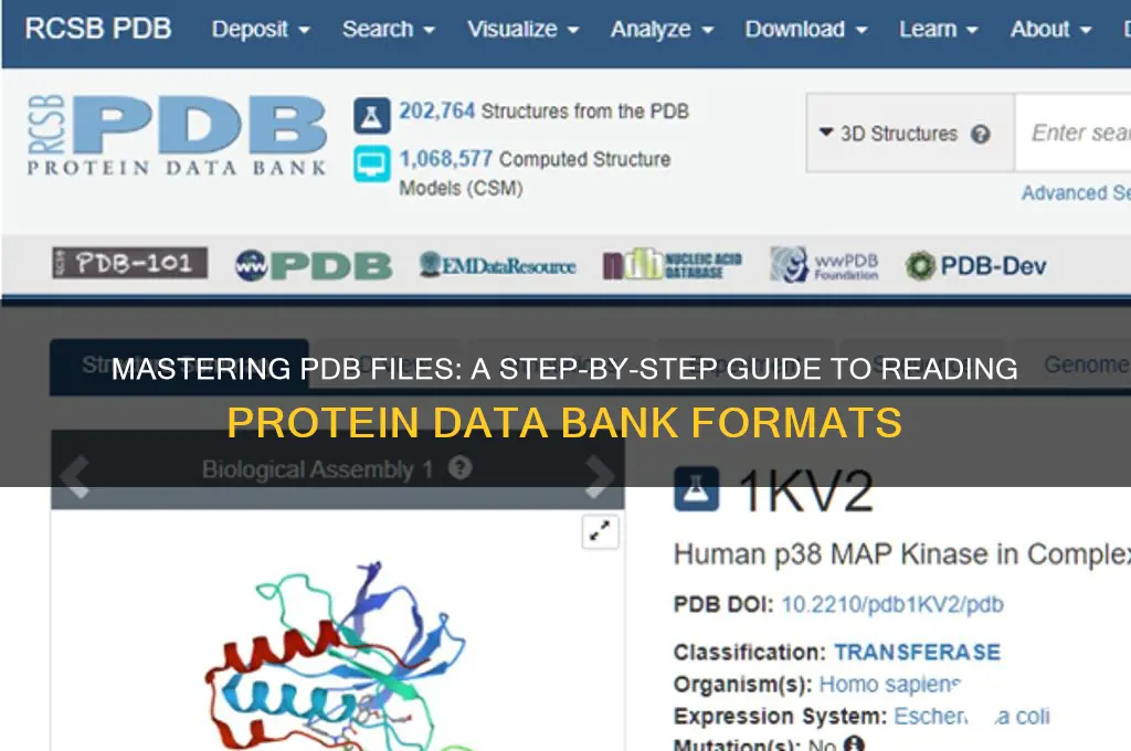 how to read protein data bank file