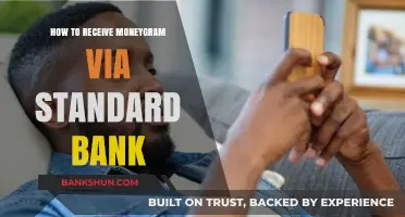 Receive MoneyGram Easily: A Step-by-Step Guide via Standard Bank