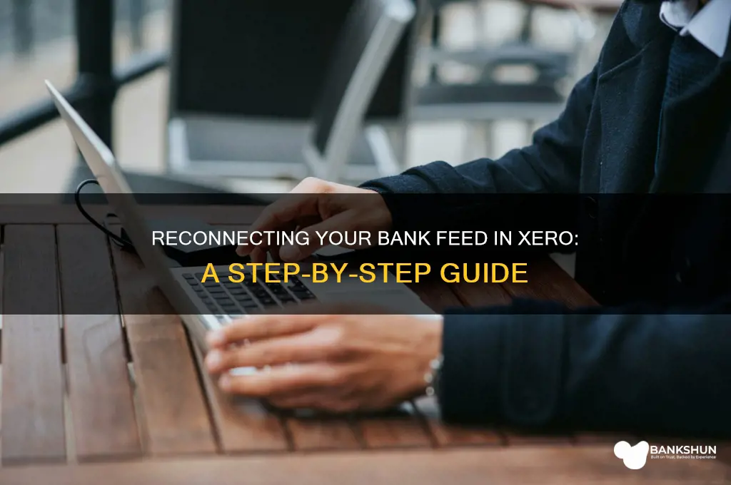 how to reconnect bank feed in xero