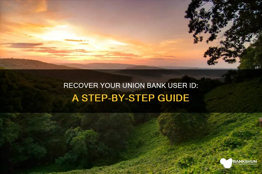 how to recover union bank user id