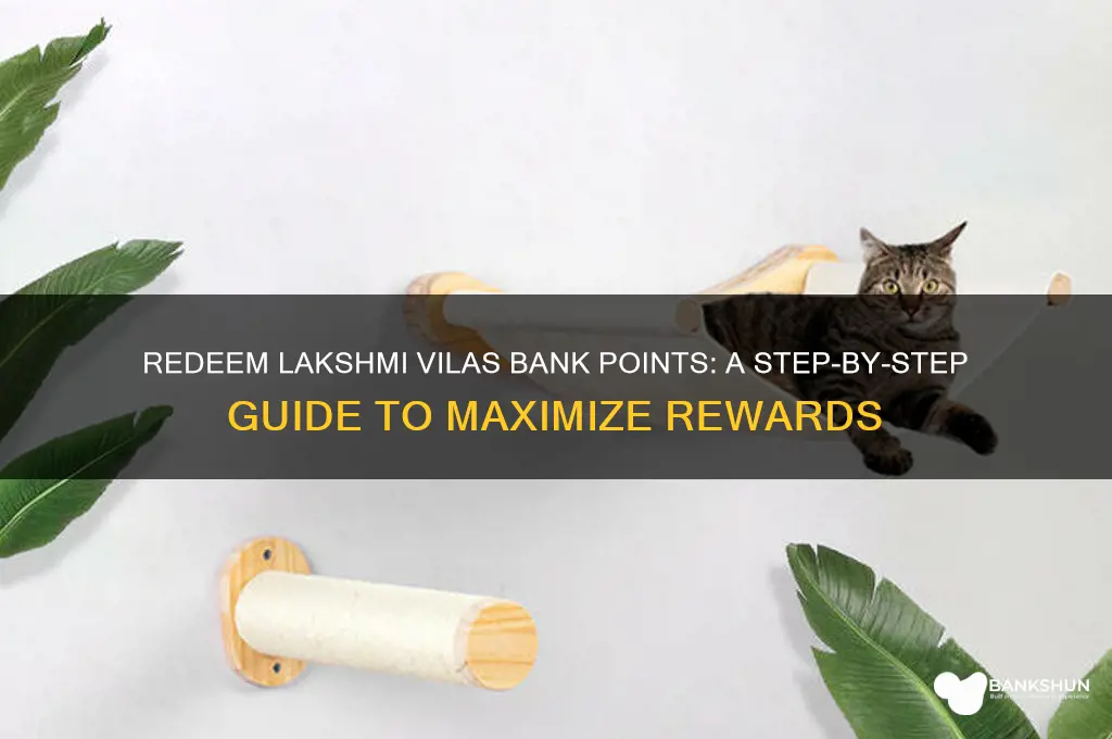 how to redeem lakshmi vilas bank points